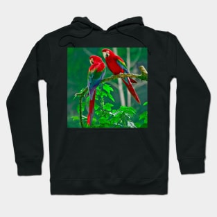 Wild Parrots Hoodie